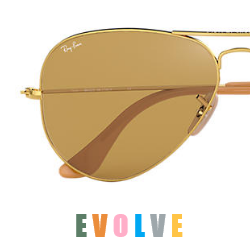 Ray ban evolve deals