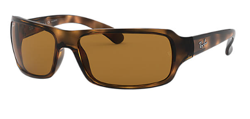 Ray-Ban RB 4075 Replacement Pair Of Sides
