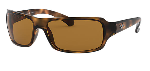 Ray on sale ban 4075