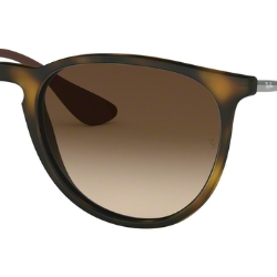 Ray Ban RB 4171 Erika Replacement Pair Of Non polarising lenses
