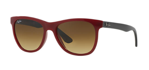 Ray-Ban RB 4184 Replacement Genuine Case