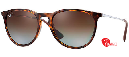 Ray-Ban Erika Classic RB 4171 Genuine Brand New in box sunglasses