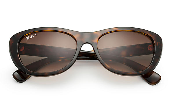 Rayban Rb4227 Ray-Ban RB 4227 Sunglasses Replacement Pair Of End Tips