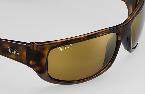 Ray-Ban RB 4283CH Sunglasses Replacement Pair Of Sides