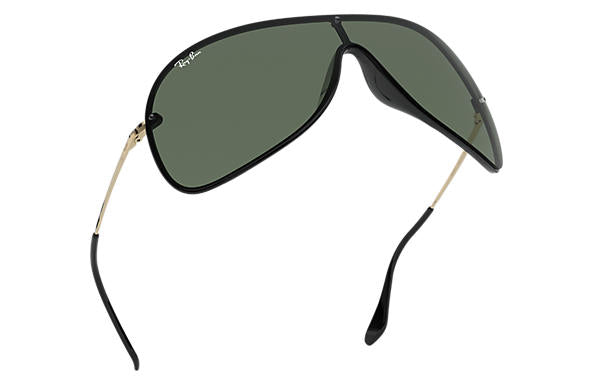 Ray-Ban RB 4411 Sunglasses Replacement Pair Of End Tips